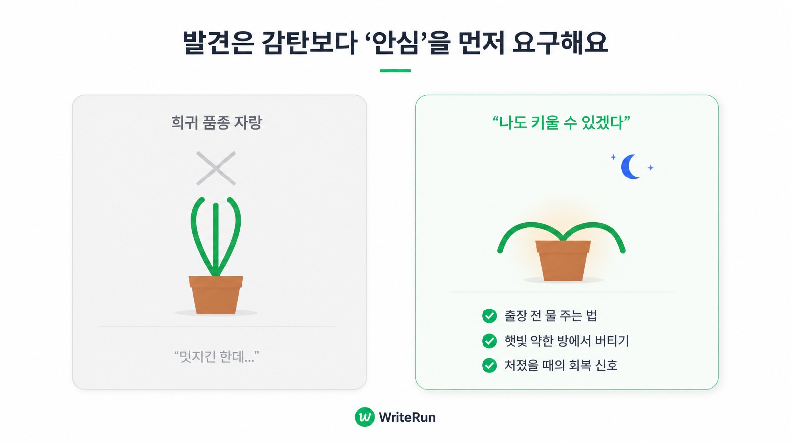 희귀 품종 자랑과 나도 키울 수 있겠다는 안심 콘텐츠를 비교한 식물 브랜드 예시