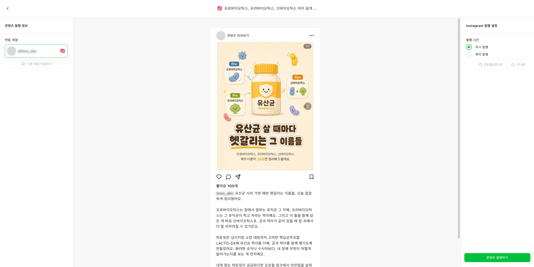 발행 전 미리보기